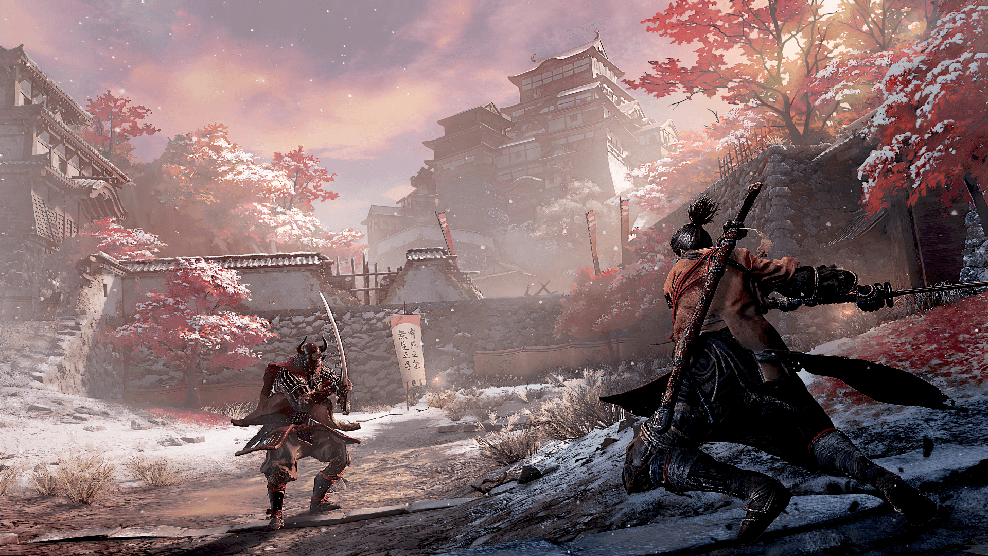 Ashina Castle